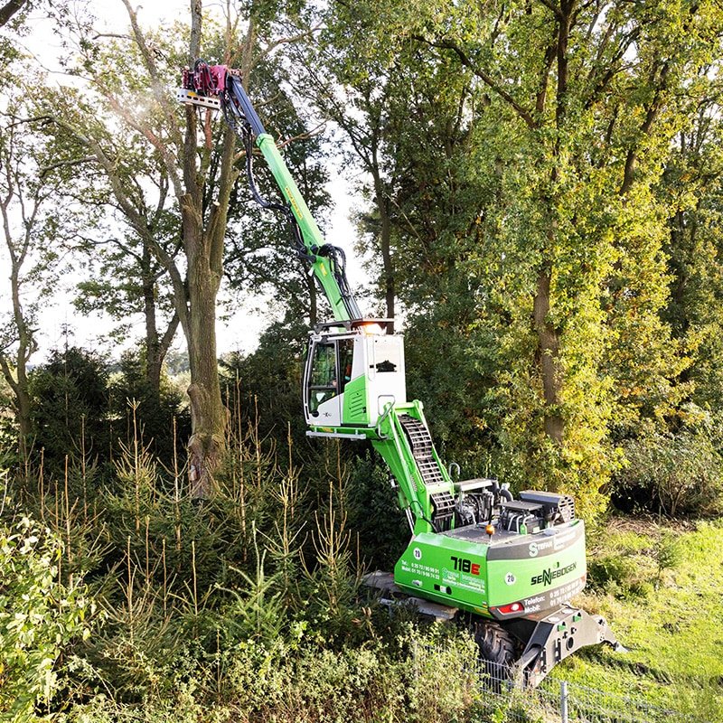 baumfaellung bei stefan linnenbaum